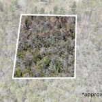 Aerial View/Approximate Lot Lines